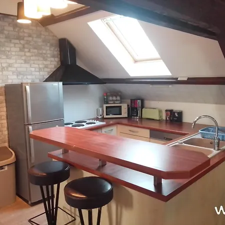 Paisible T2 , 39m², Mansarde アパート